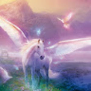 Meet your Posher, Trish